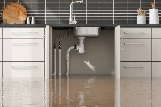 Best Residential water damage restoration  in Walterboro, SC