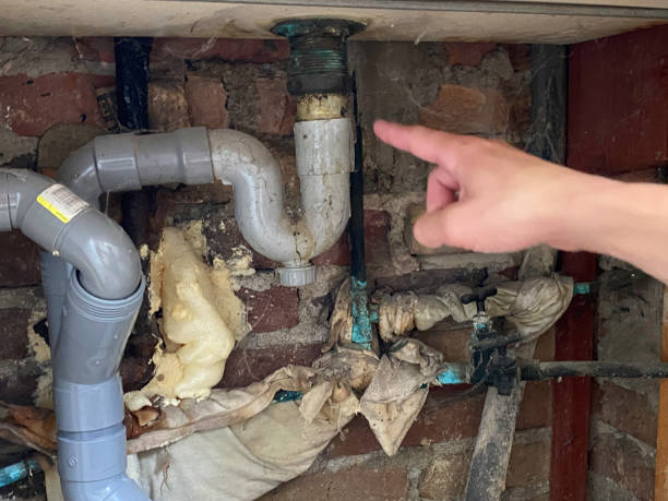 Best Sewage cleanup and water damage restoration  in Walterboro, SC